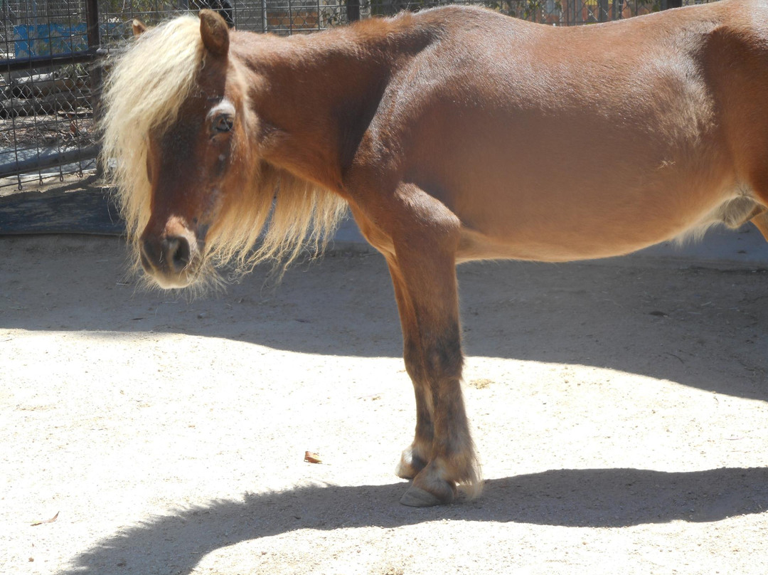 America's Teaching Zoo at Moorpark College-Moorpark必去景点