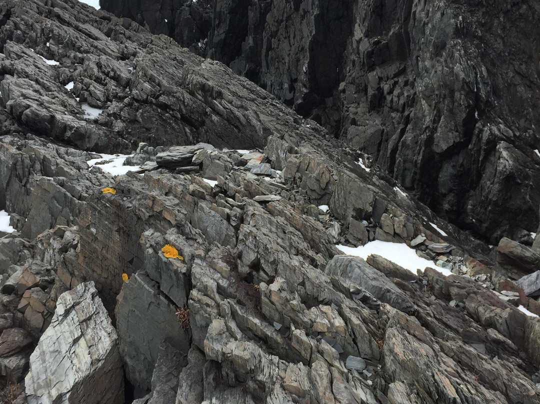 Cape Race Lighthouse景点图片