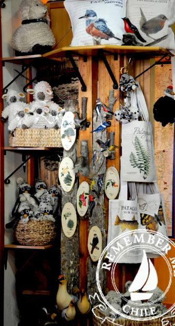 Remember Me Chile-巴拉斯港必去景点