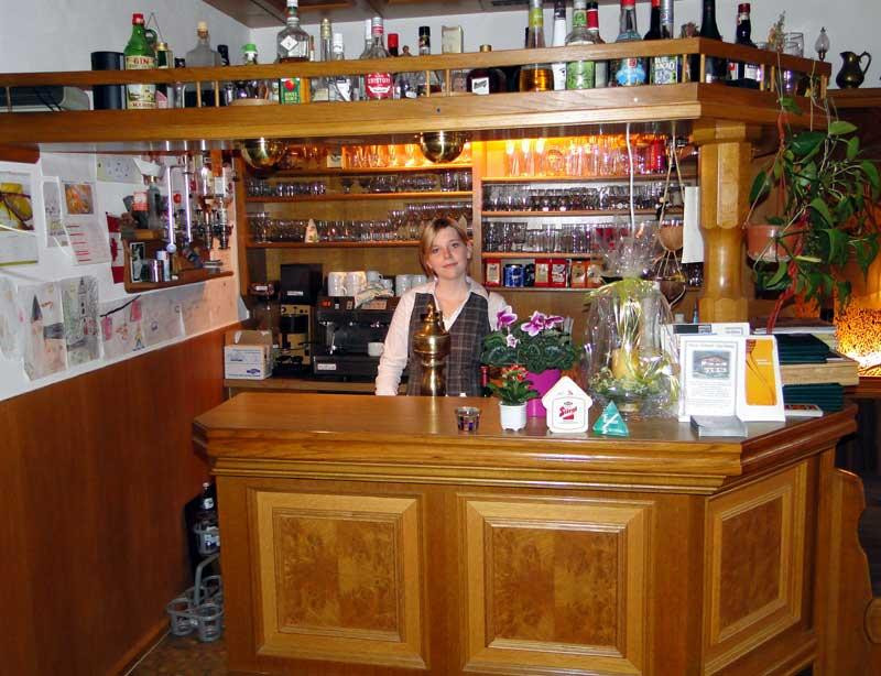 Pension Wildental Hotel Garni主图