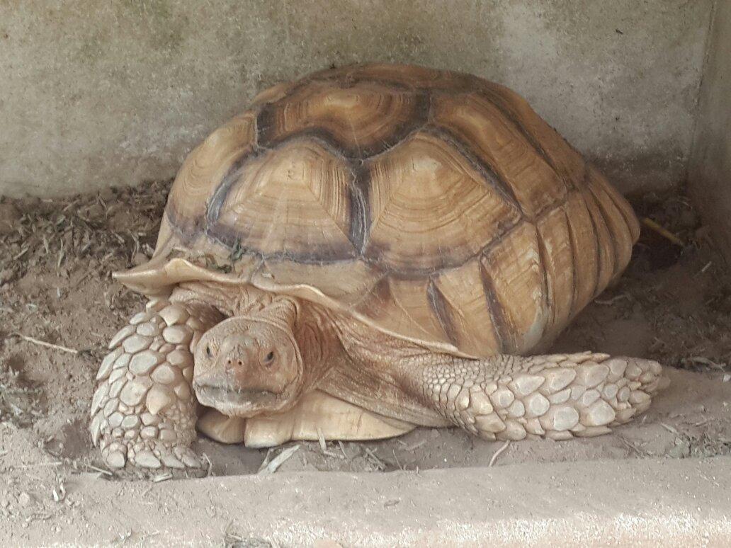 帕拉达凤梨花园度假酒店-酒店景观