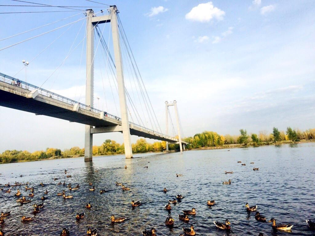 Vynogradovskiy Bridge-克拉斯诺亚尔斯克必去景点