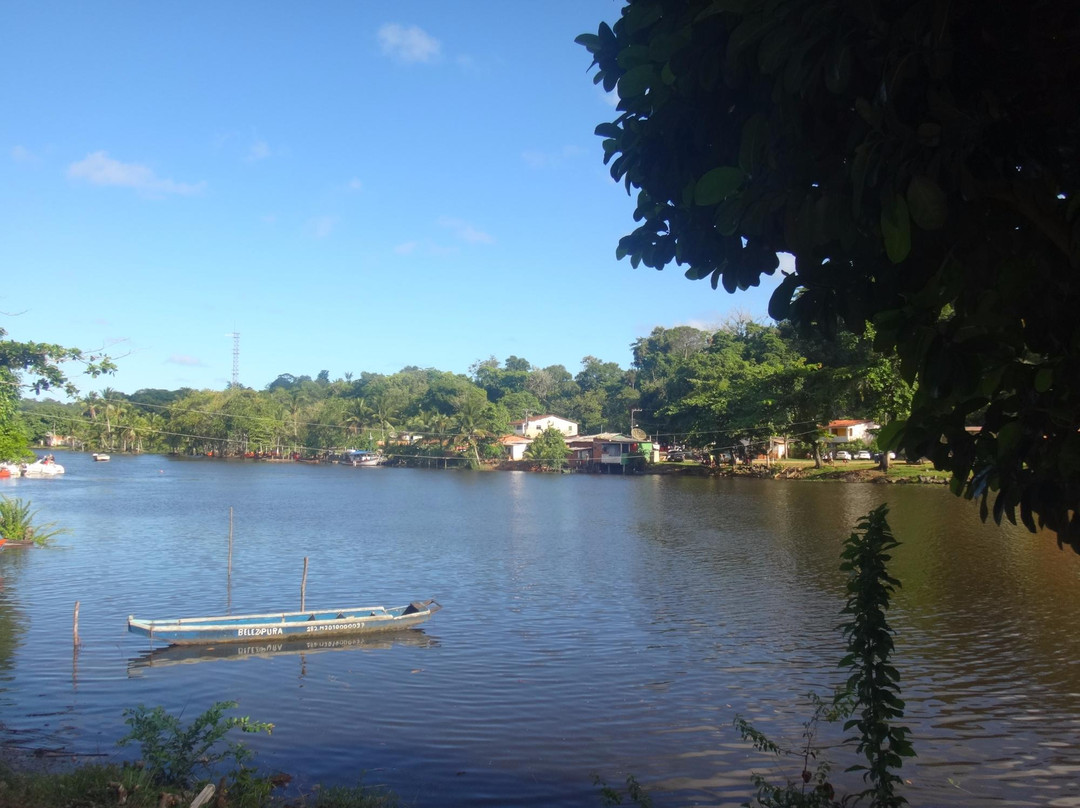 Engenho River景点图片