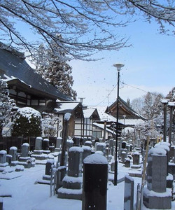 Teramachi Dori景点门票图片
