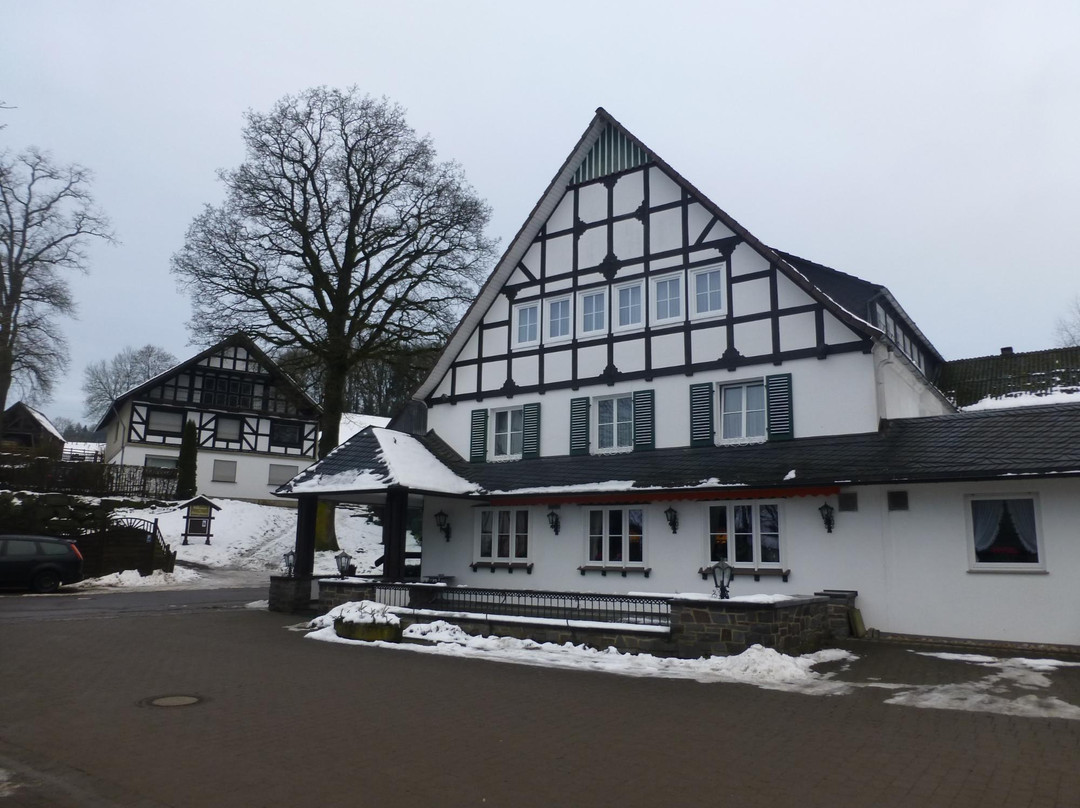 Landhotel Halbfas-alterauge主图