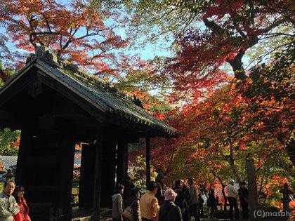 Akizuki Castle Remains景点图片