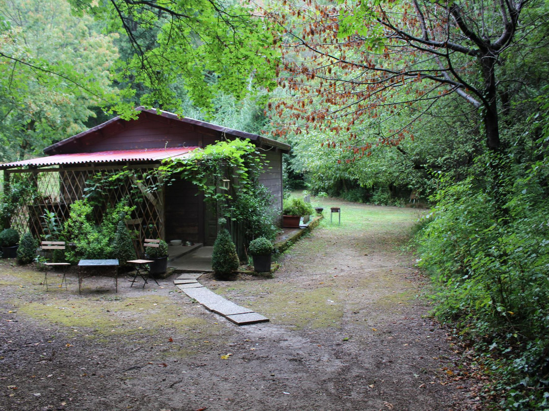Dentro al Bosco