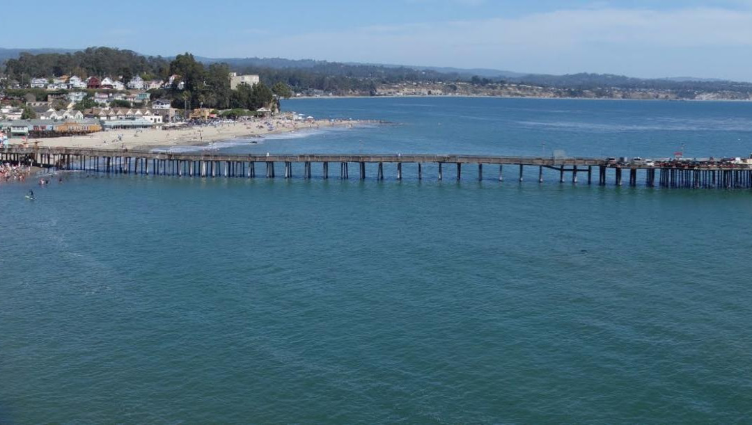 Capitola Surf and Paddle景点图片
