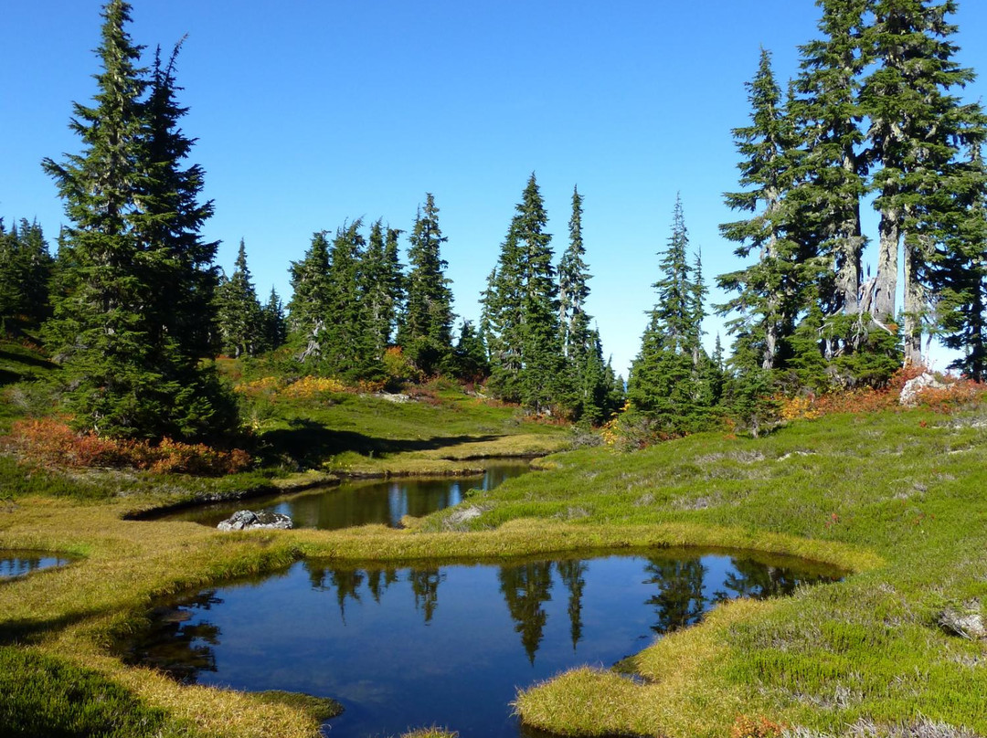 Sleeping Beauty Mountain Provincial Park-Terrace必去景点