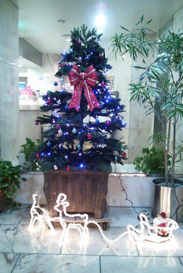 关空太阳城由多加酒店主图