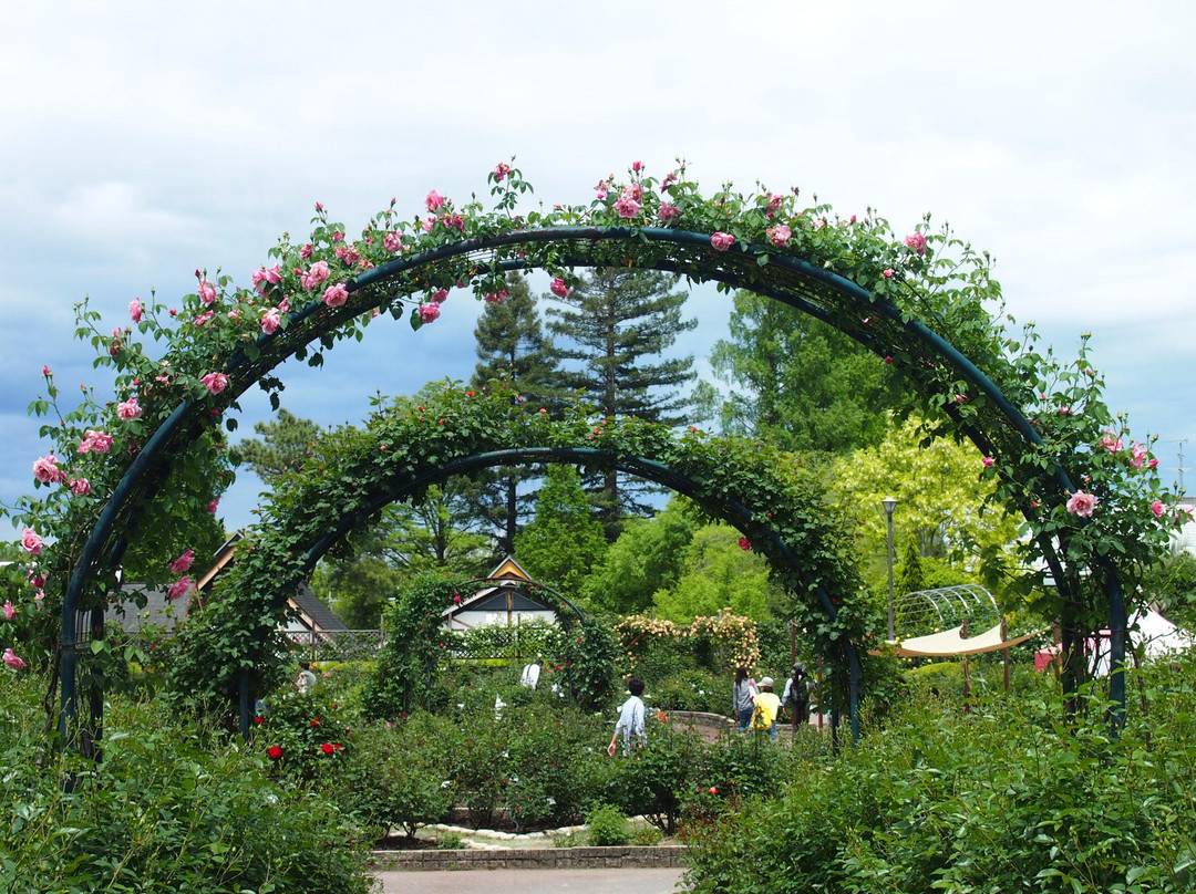 Osaka Prefecture Flower Garden-河内长野市必去景点