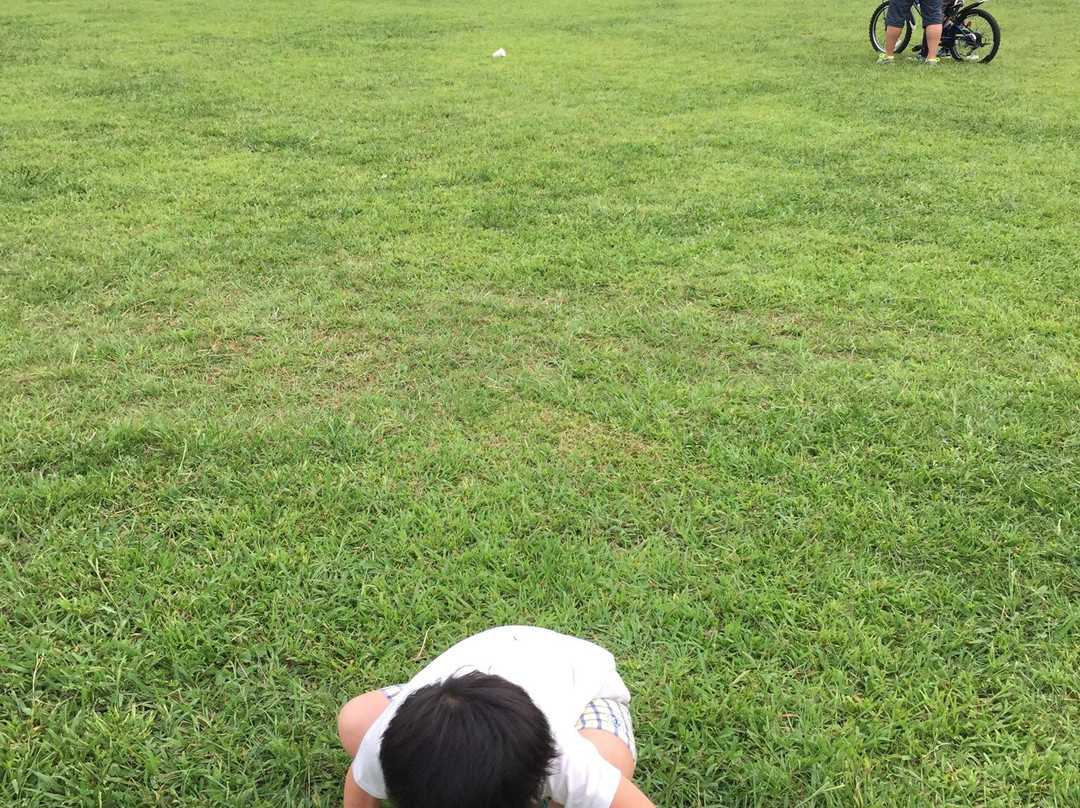 Ogino Athletic Park景点图片