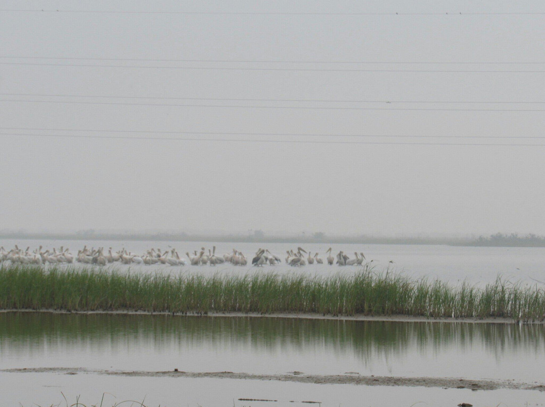 Chhari Dhandh景点图片