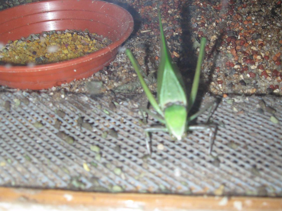 Vivarium du Moulin景点图片