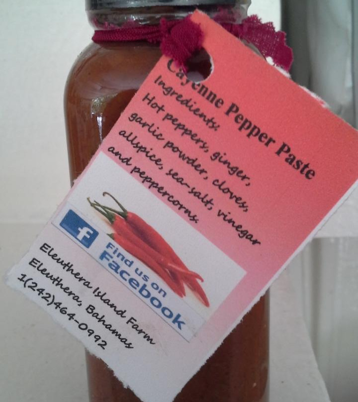 Eleuthera Island Farm-伊柳塞拉必去景点