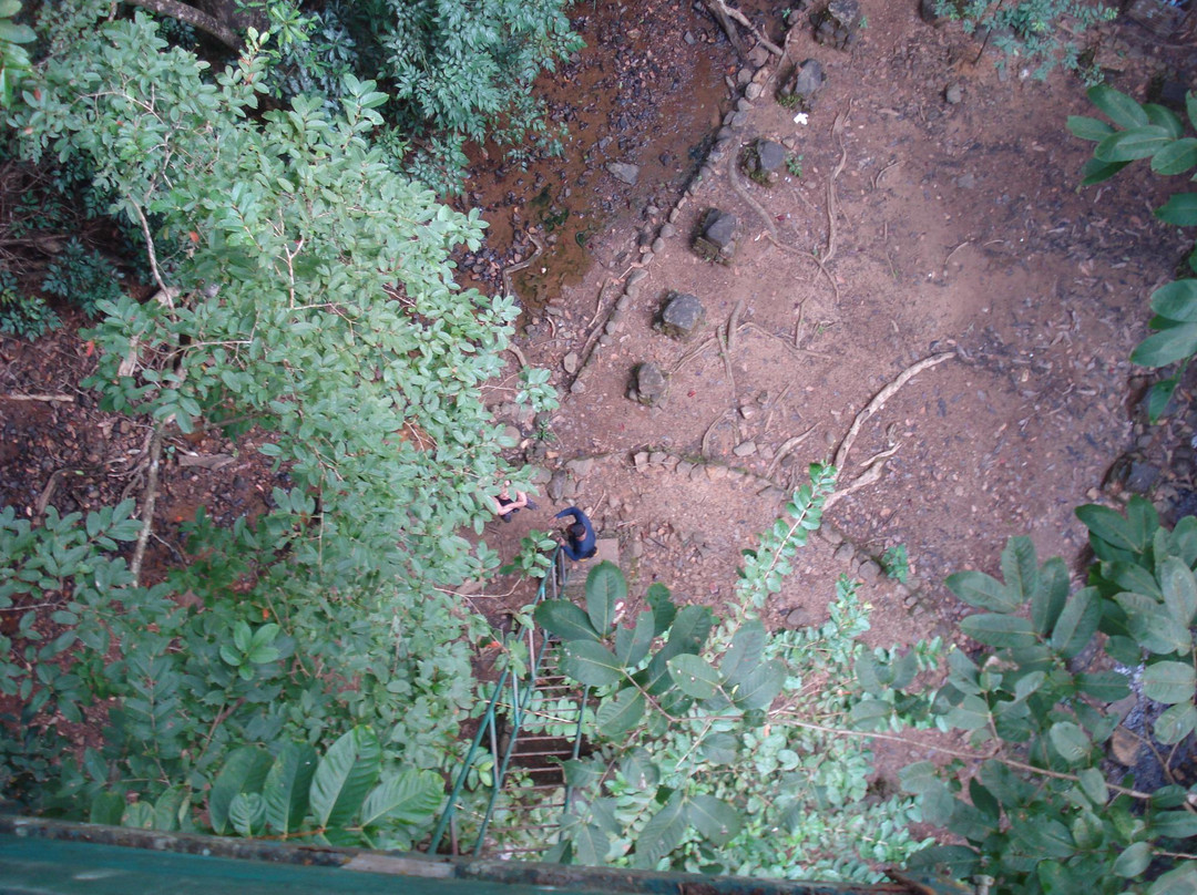 Cotigao Wildlife Sanctuary景点图片
