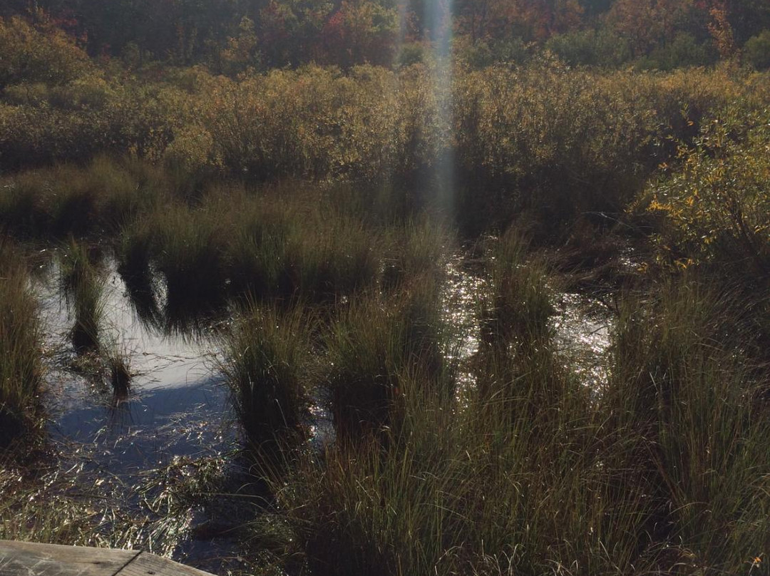 The Huron County Nature Center & Wilderness Arboretum景点图片