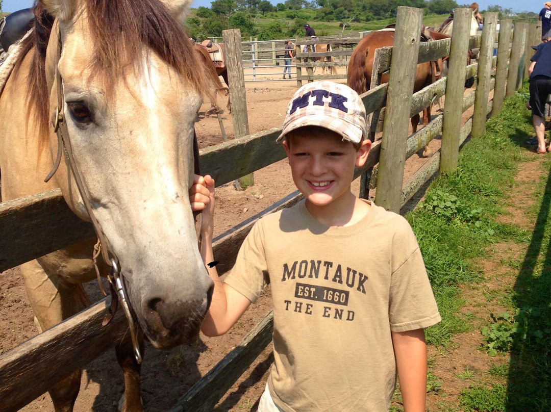 Deep Hollow Ranch-蒙托克必去景点