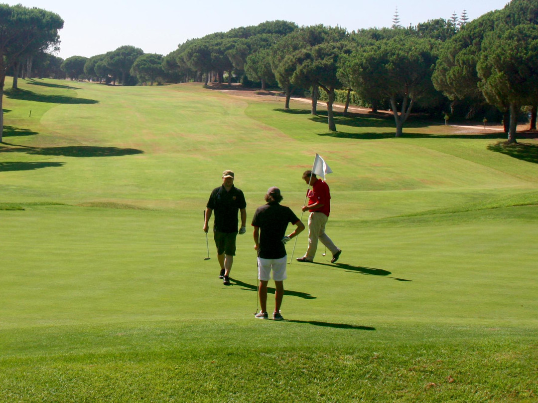 Lesters Golf景点图片