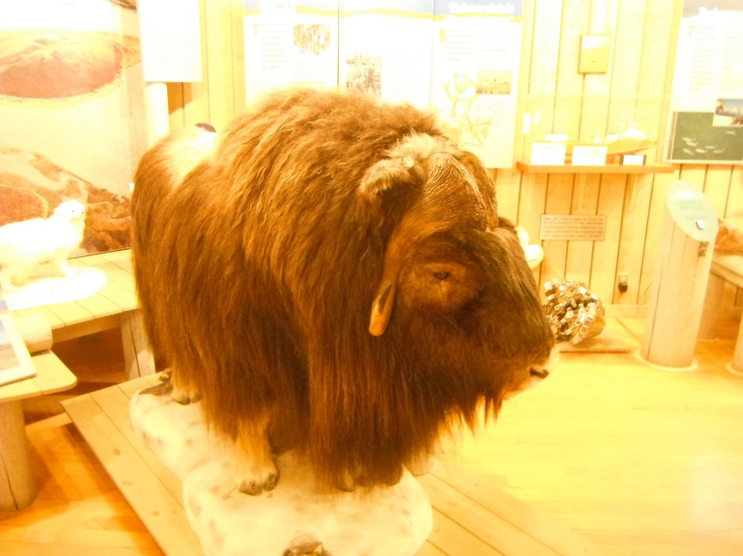 Western Arctic Regional Visitor Center-Inuvik必去景点