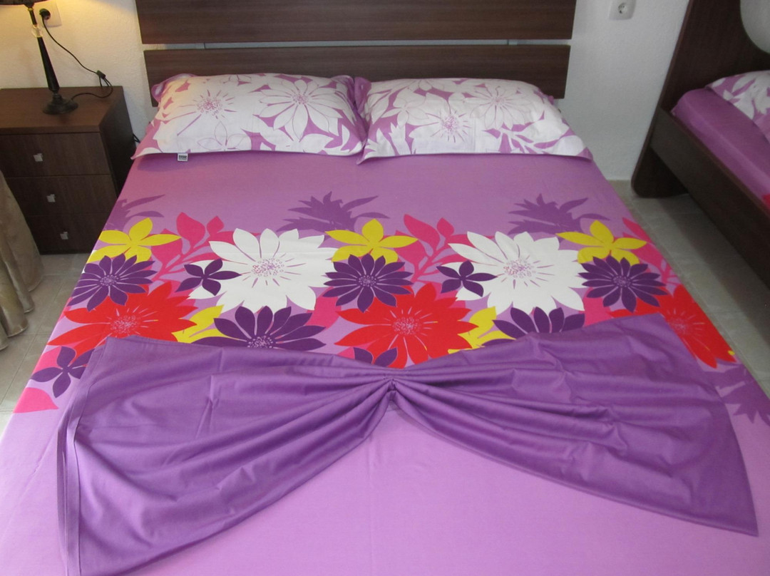 Tsamakdas House主图