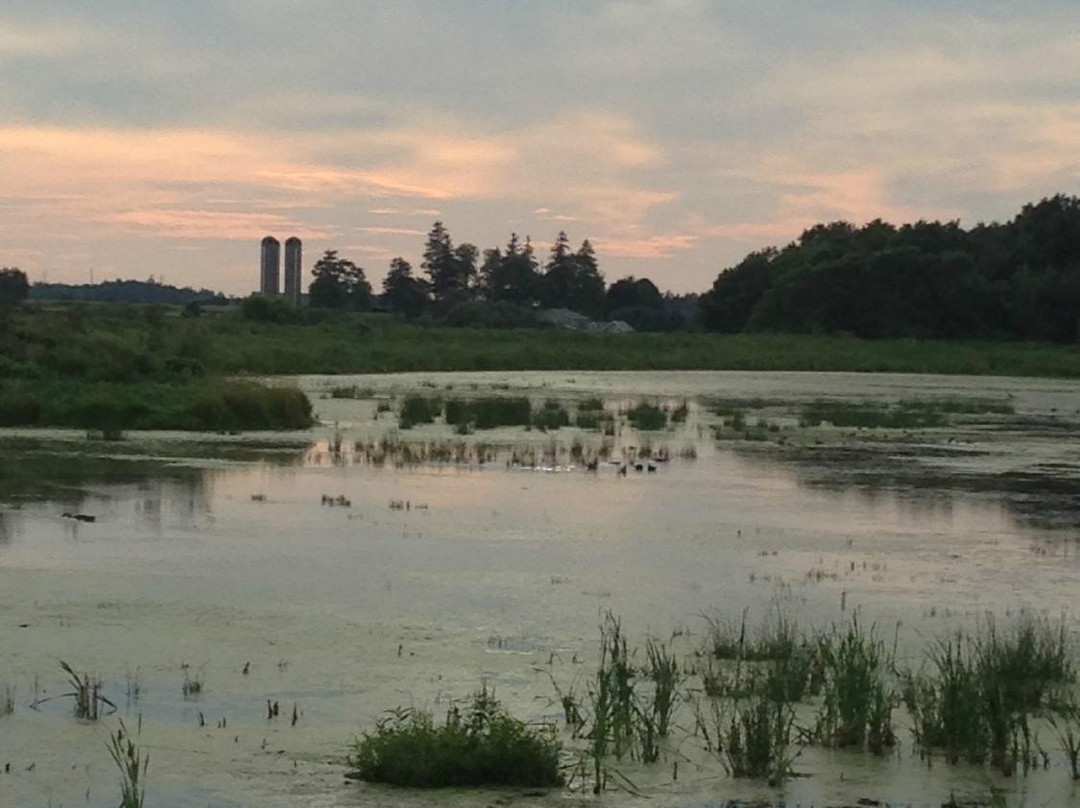 West Perth Wetlands景点图片