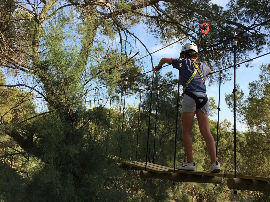 Tirolinas Go! - Mallorca-马洛卡帕尔马必去景点