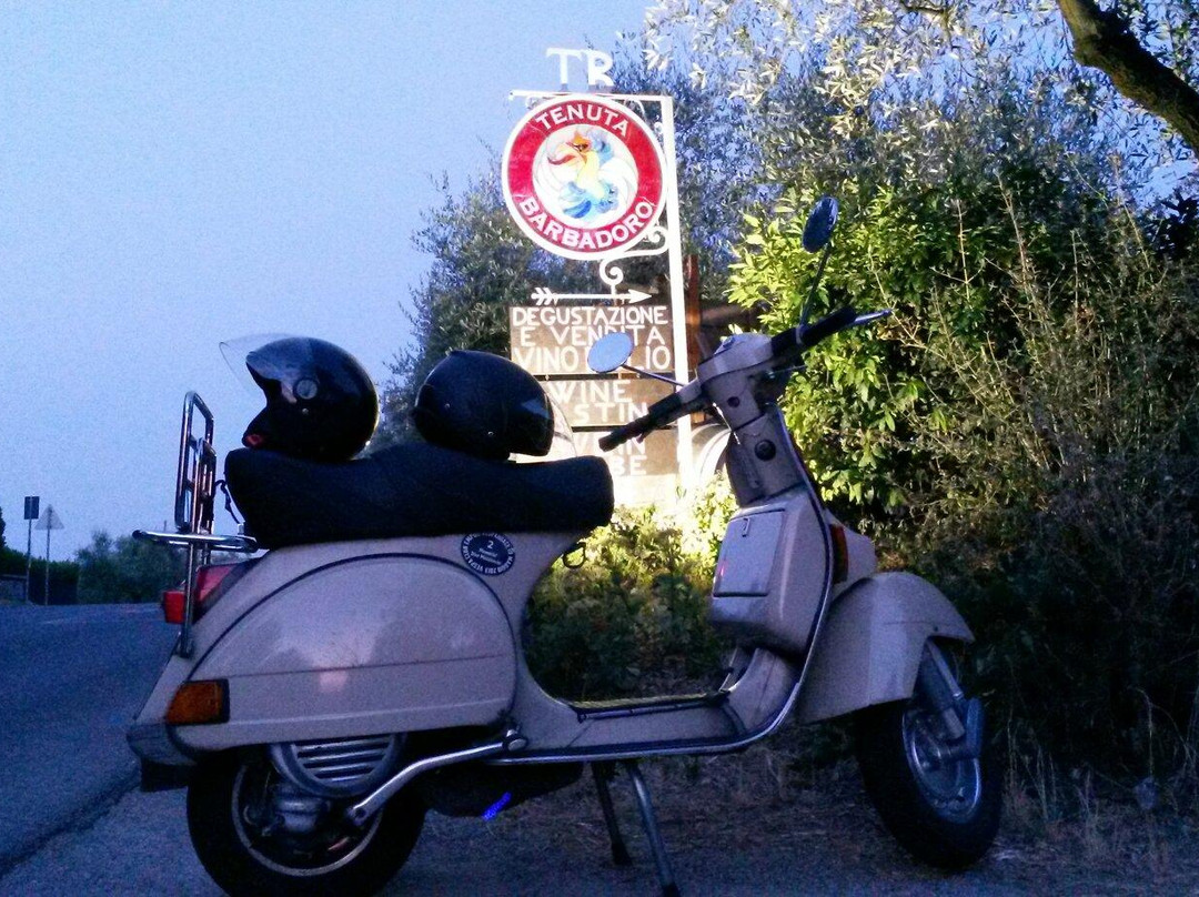Tenuta Barbadoro景点图片