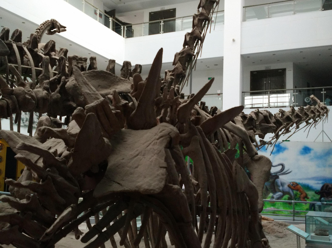 中国地质大学博物馆-武汉市必去景点