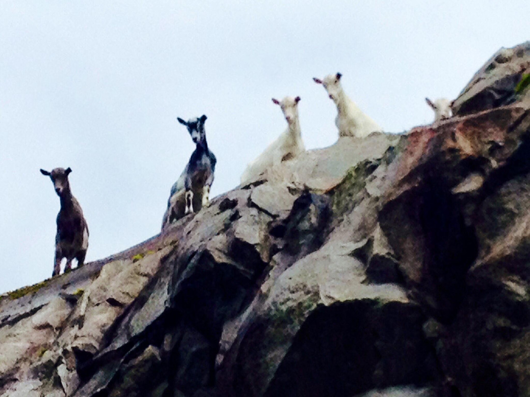 约斯特市旅游攻略图片