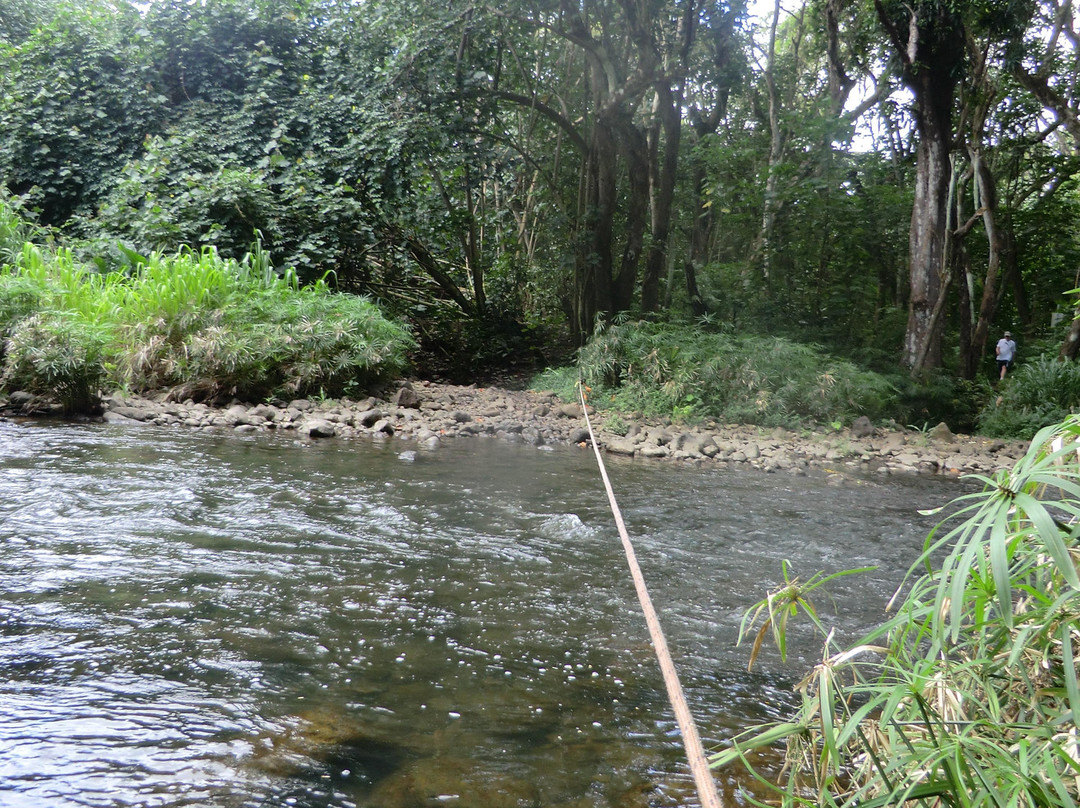 Secret Falls Trail-Wailua必去景点