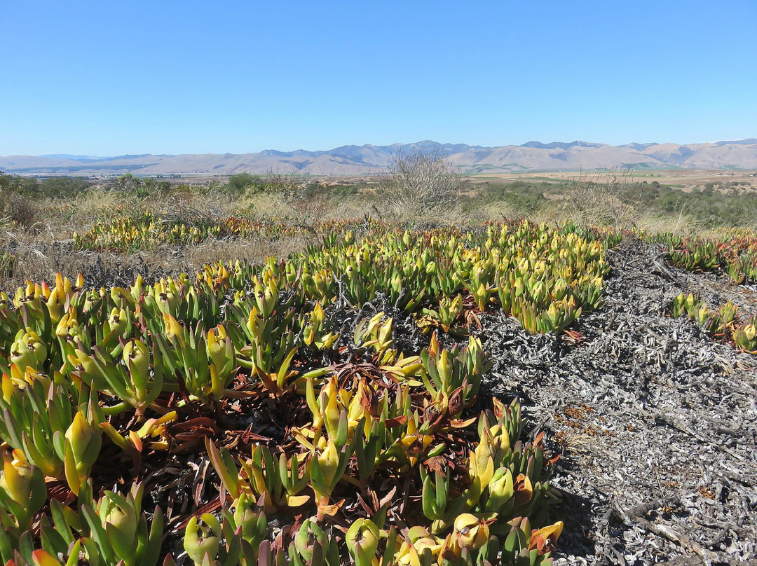 Los Flores Ranch Park-圣玛丽亚必去景点