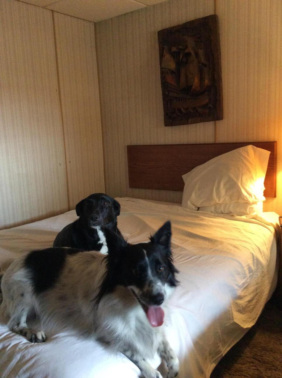 Deltan Inn Motel-客卧