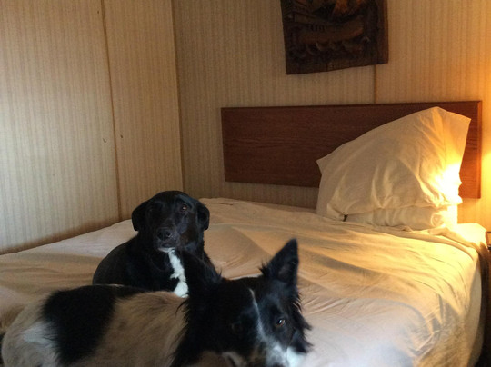 Hinckley酒店住宿-Deltan Inn Motel