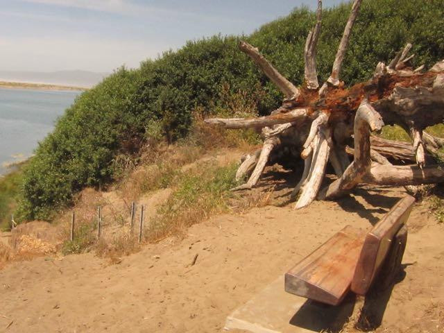 Hammond Trail-McKinleyville必去景点