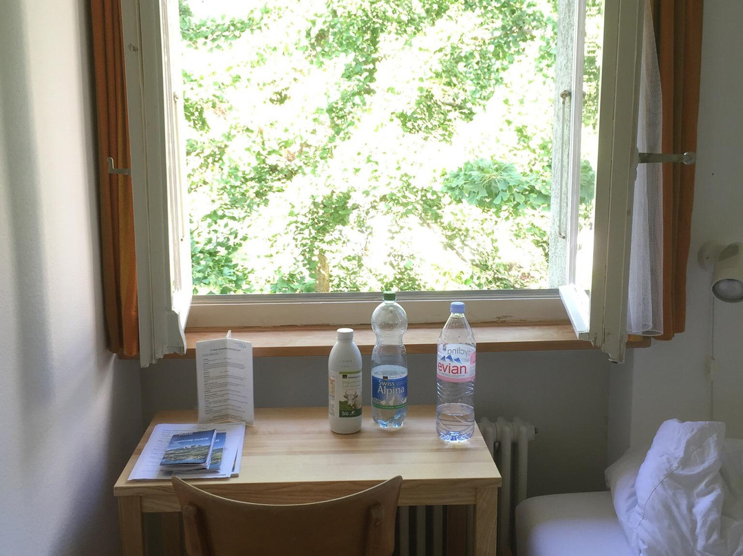 瑟米纳豪斯布鲁切马特酒店主图