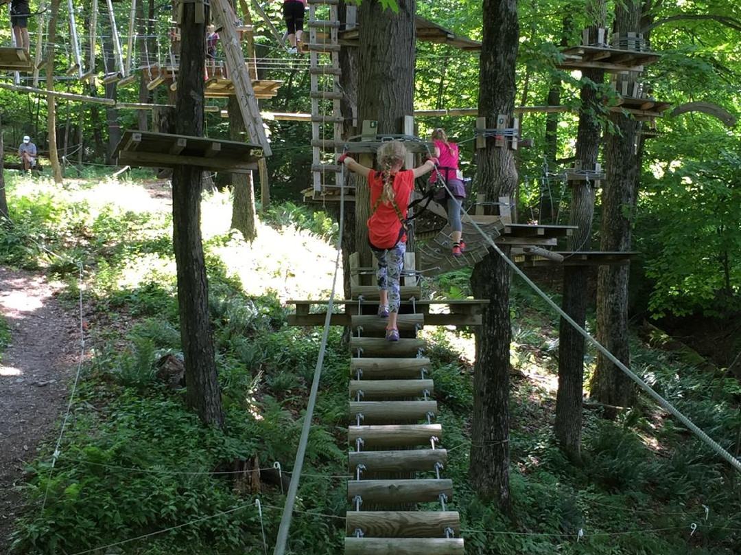 Catamount Aerial Adventure Park景点图片