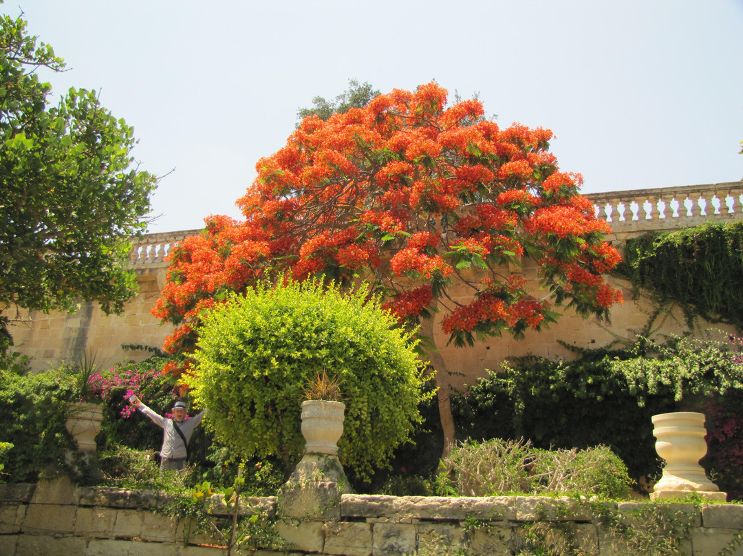 Malta Film Tours-Attard必去景点