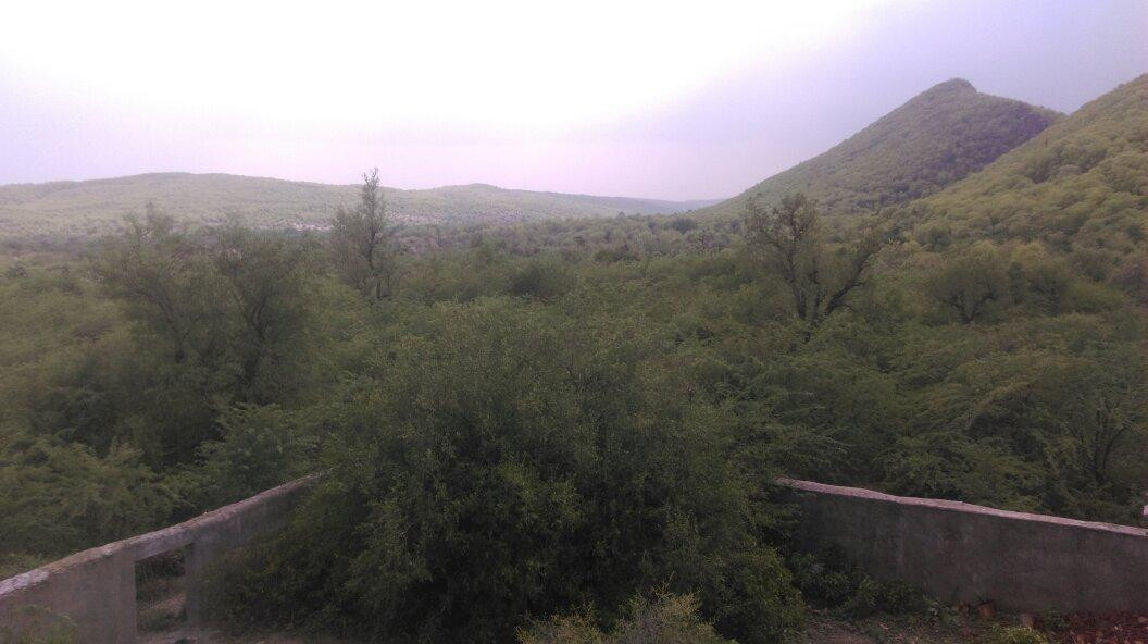 Ramgarh Vishdhari Sanctuary景点图片