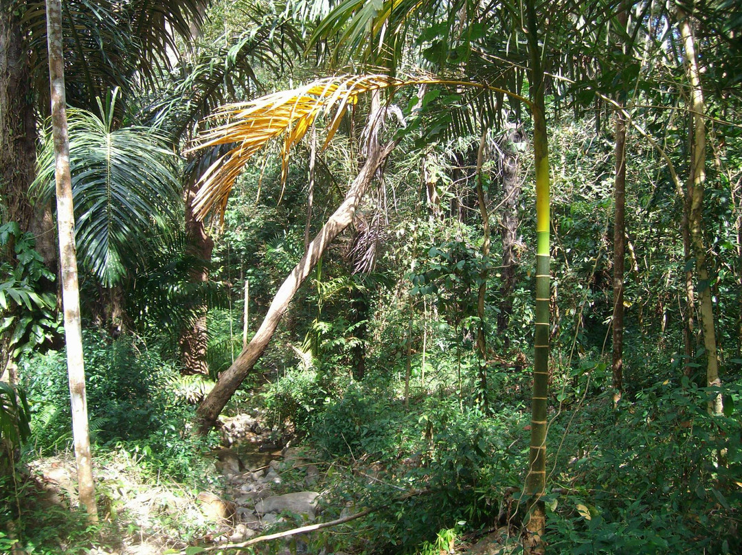 Laiwangi Wanggameti National Park景点图片