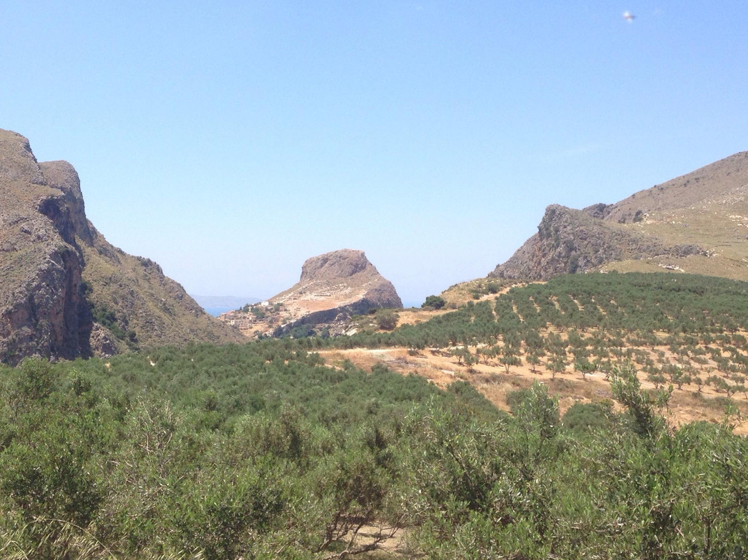 Astrikas Estate Biolea景点图片