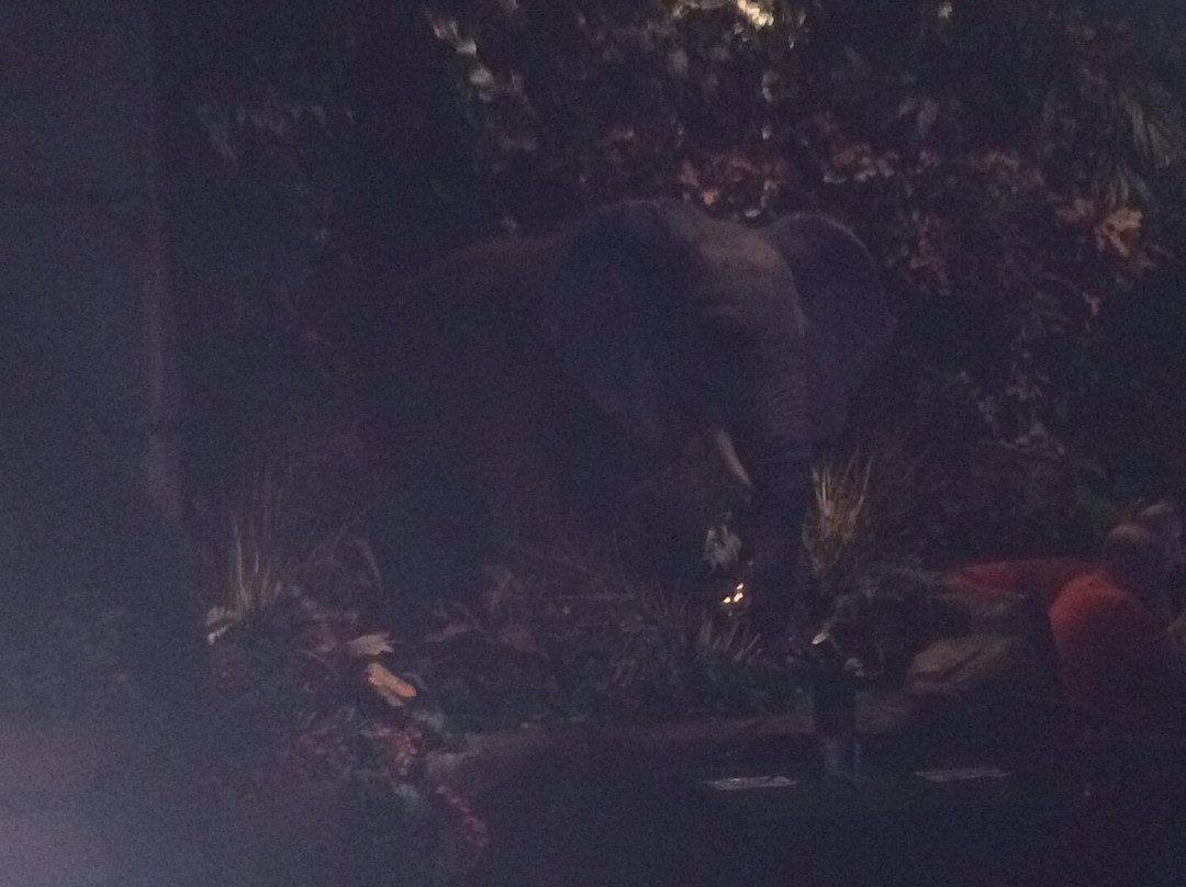 Opry Mills-纳什维尔必去景点