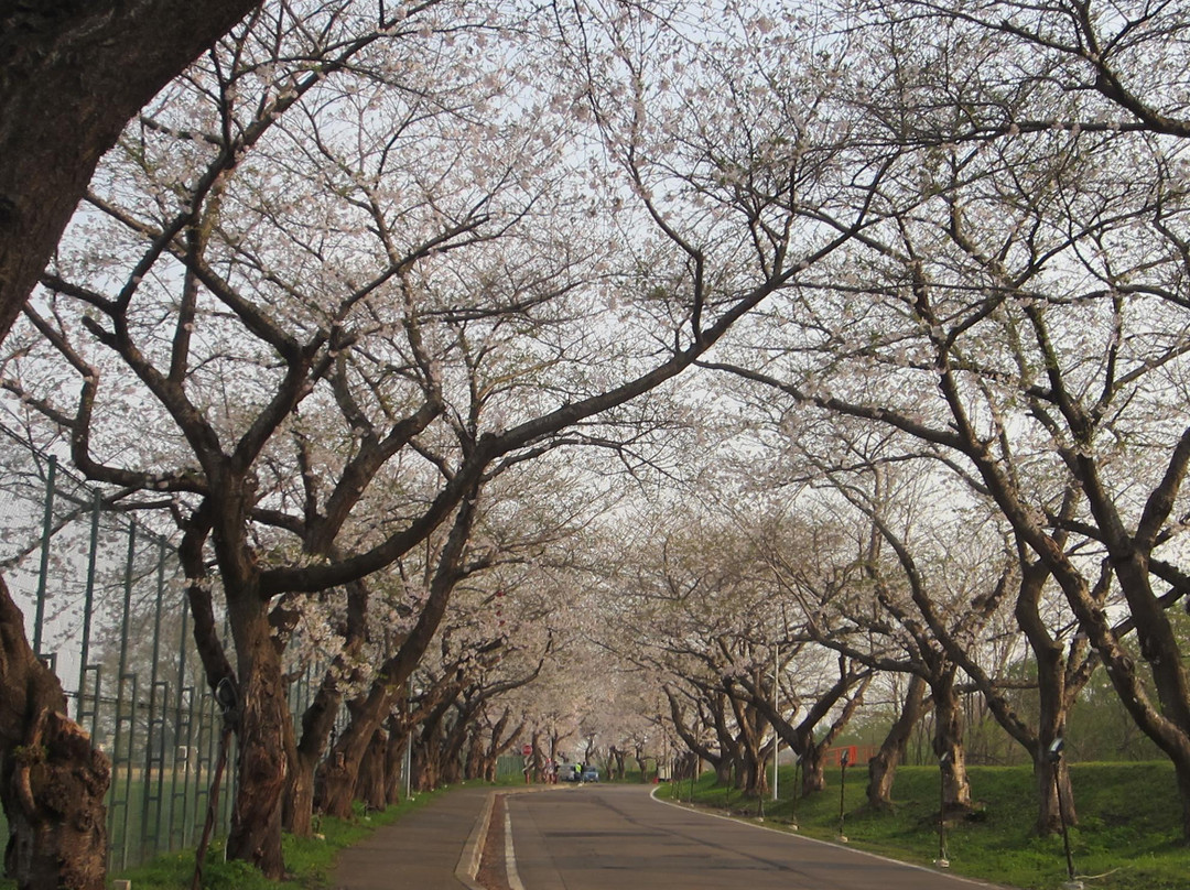 Houkiji Temple-北斗市必去景点