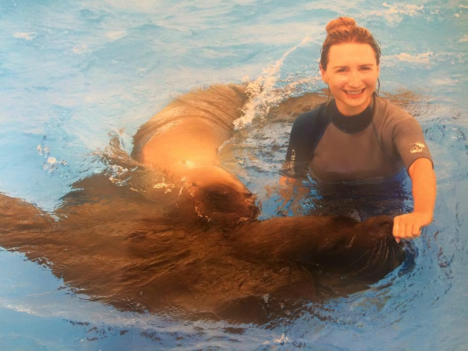 Swim With Sea Lions-夸尔泰拉必去景点