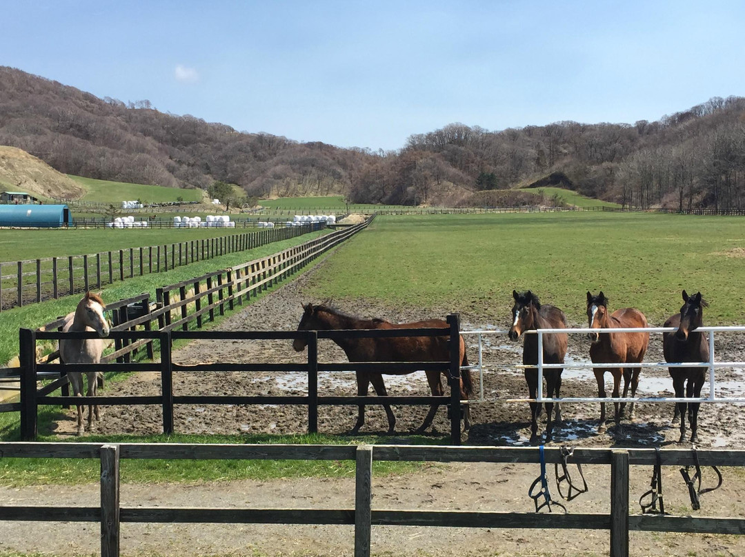 Racing Horse Hometown Hidaka Tourist Information Center景点图片