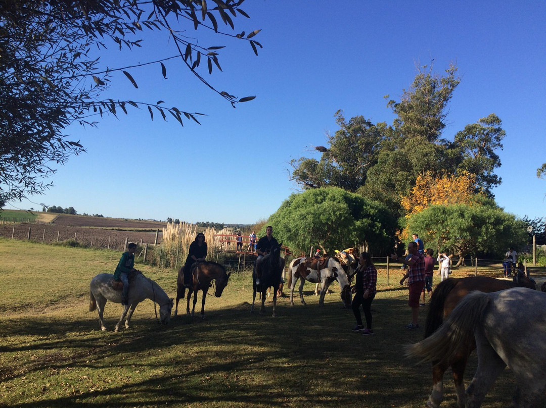 Estancia Renacimiento - Day Tour-Canelones必去景点