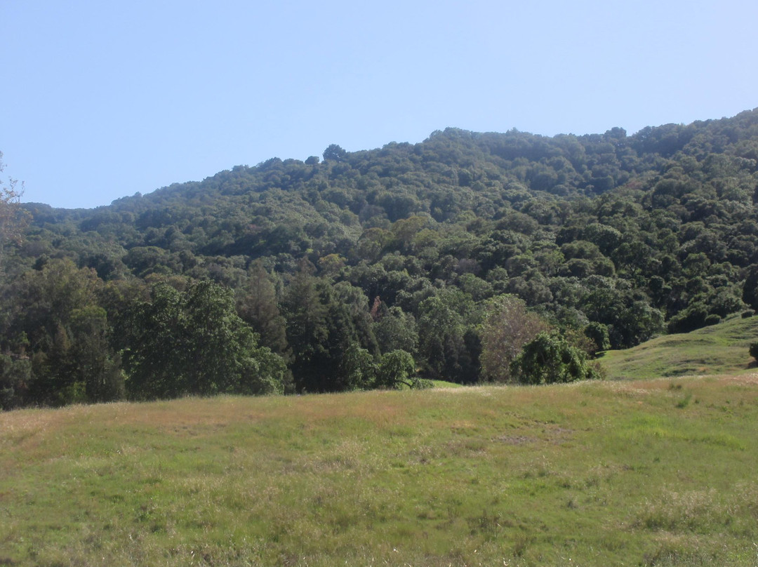 Augustin Bernal Park-普莱森顿必去景点
