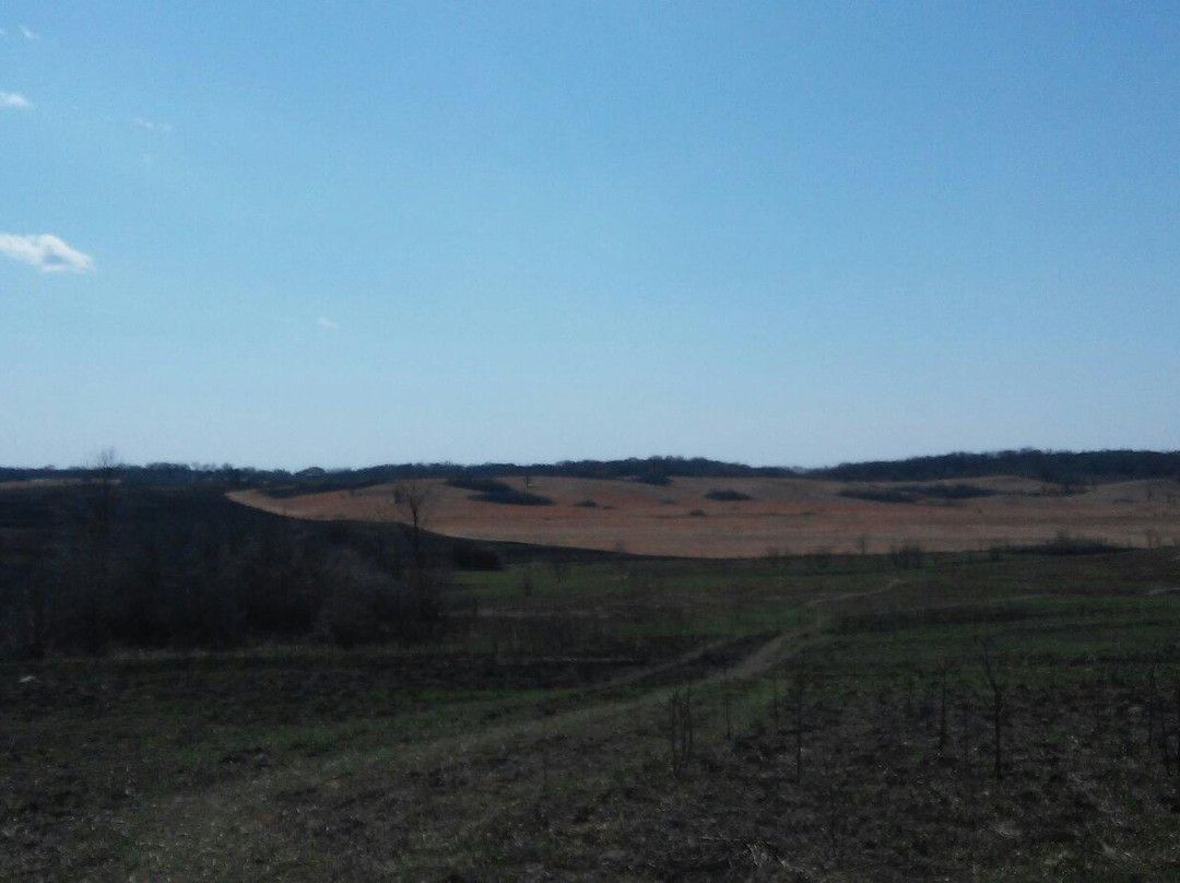 Nachusa Grasslands景点图片
