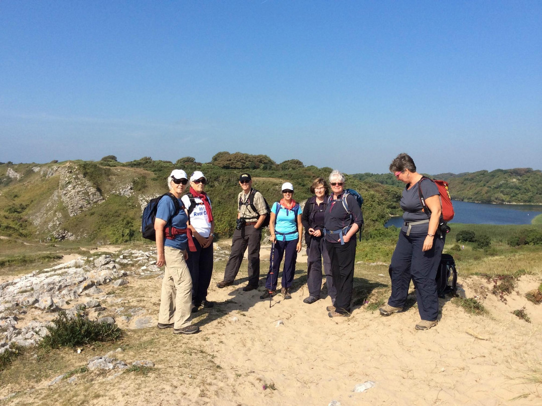 Pembrokeshire Guided Tours - Day Tours景点图片