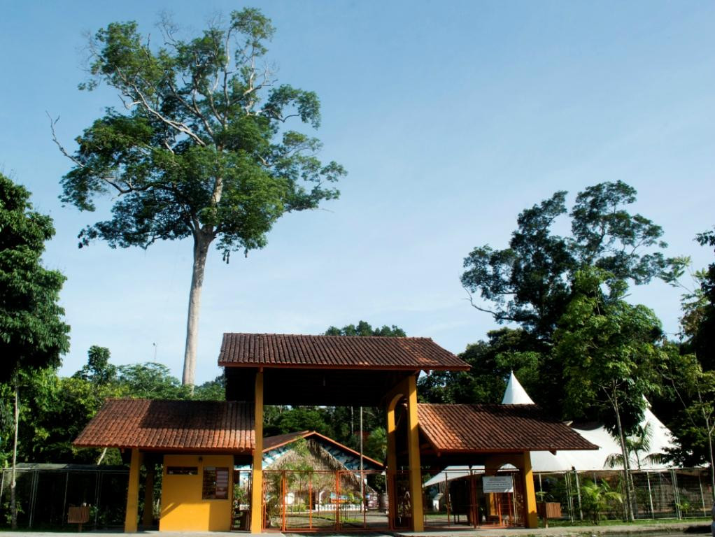 Museu da Amazonia (MUSA)-玛瑙斯必去景点